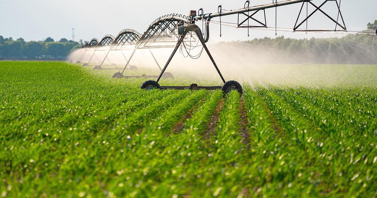 Nebraska Groundwater Levels Continue To Decline Amid Persistent Drought Conditions