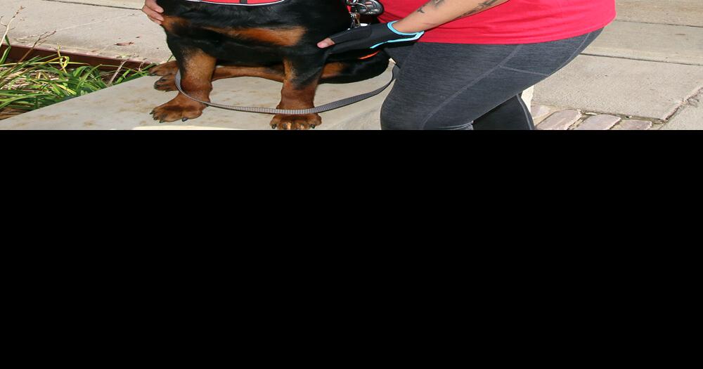 Rescued Dog Service Dog, Best Friend For Yankton Native