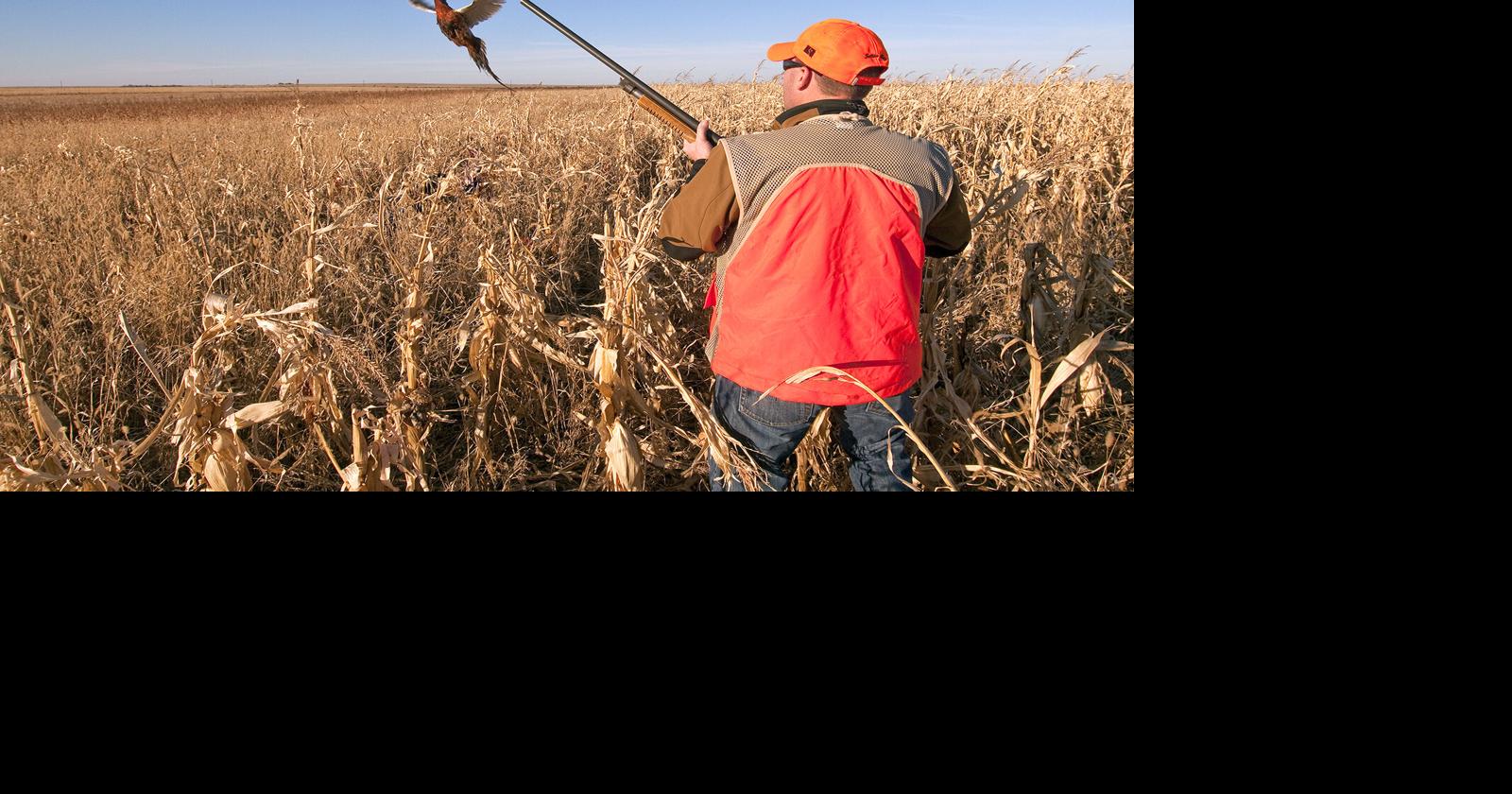 South Dakota Pheasant Season Opening Up With Big Numbers