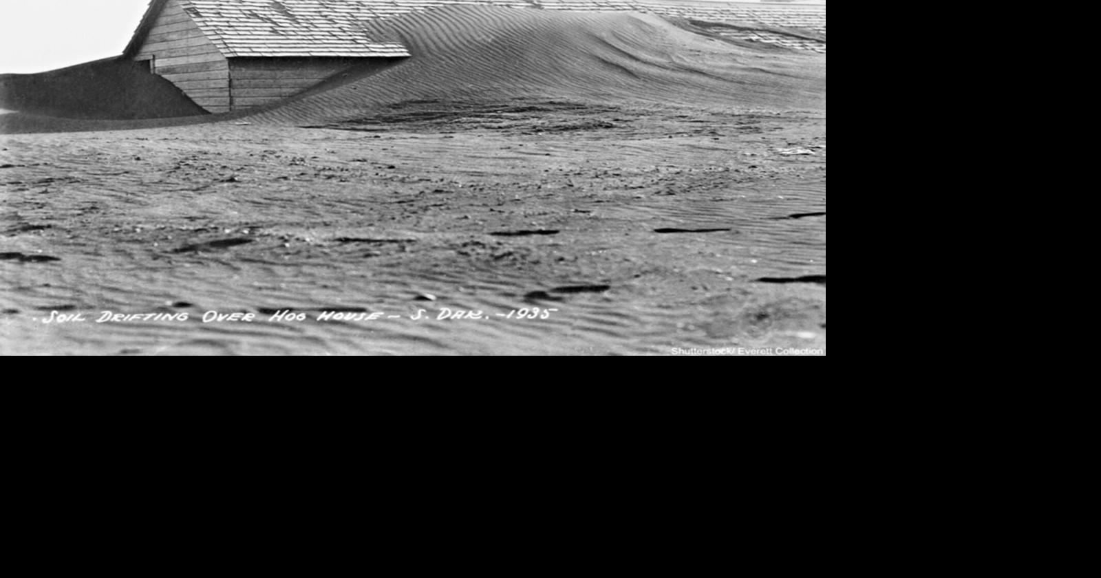 From The Dust Of History