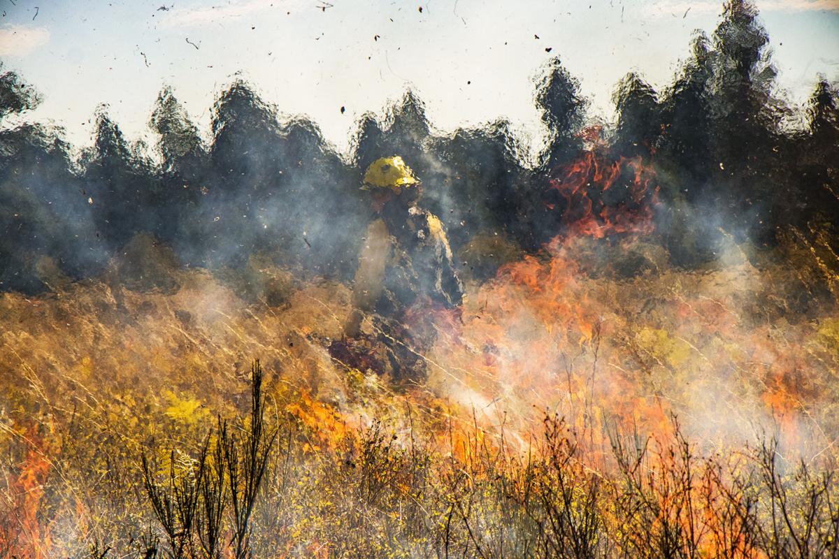 WDFW's Prescribed Burns Carry on Work Started by Native Americans
