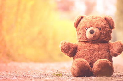 Southeast Thurston Fire Authority Collecting Teddy Bears To