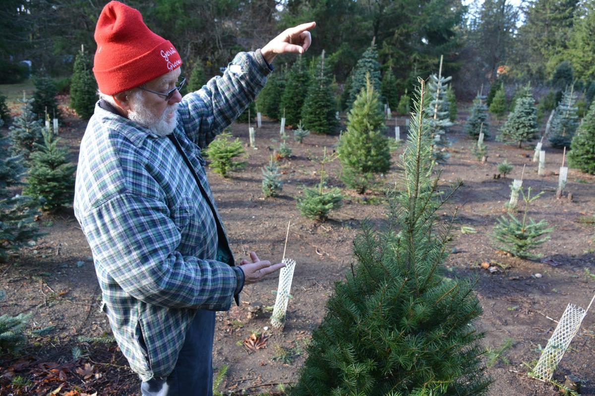 Shop In The Rainier Area For Christmas Trees Receive Years Of Wisdom Life Yelmonline Com