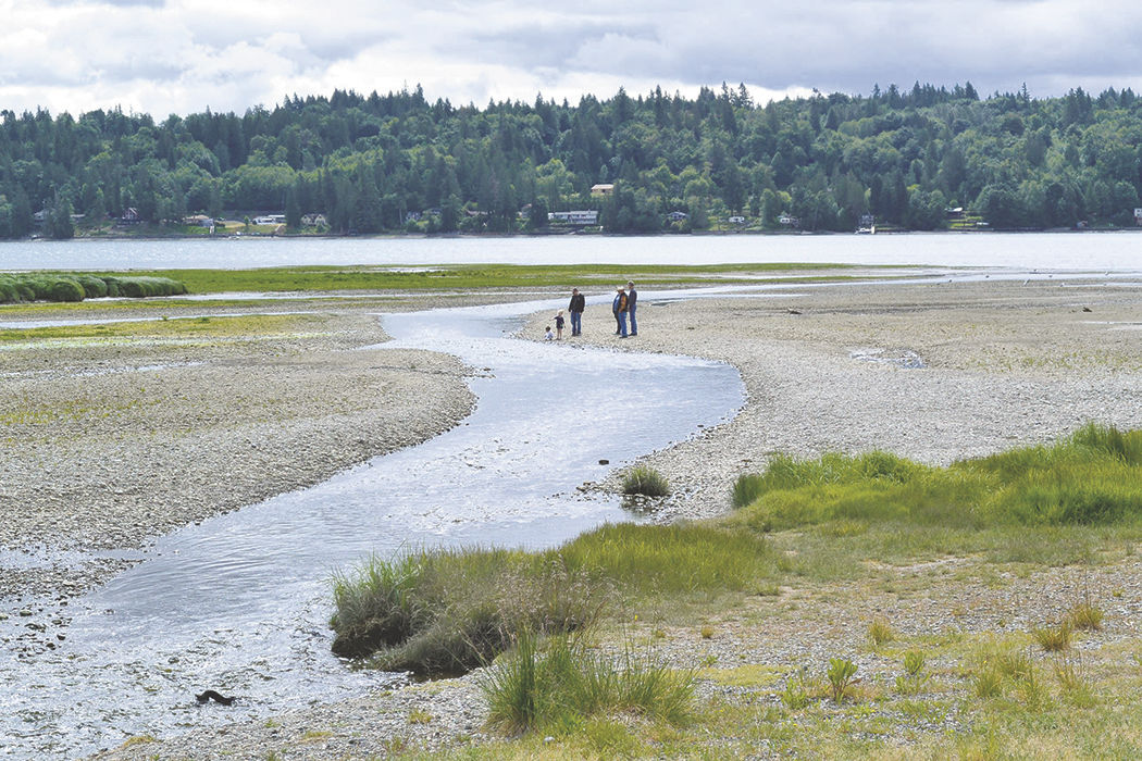 Discover a Whole New Side of Belfair State Park | Life | yelmonline.com