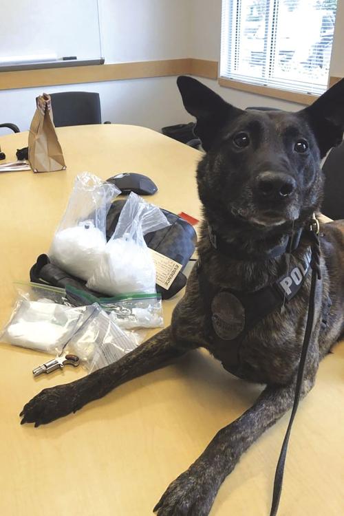 K9 Assists in Yelm Drug Stop