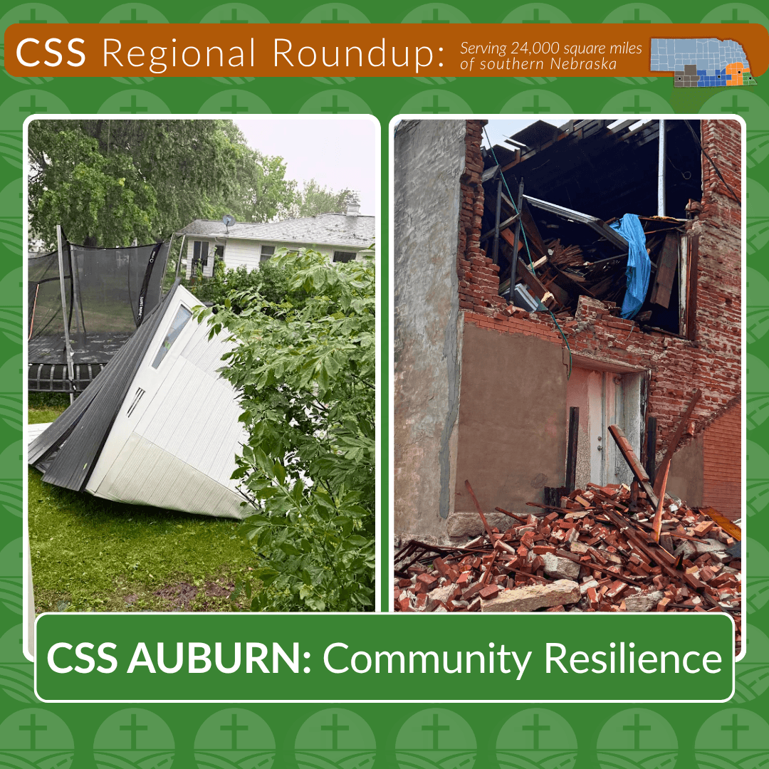 Regional Roundup | CSS AUBURN: Community Resilience