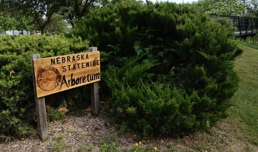 Tuxedo Park and Camping