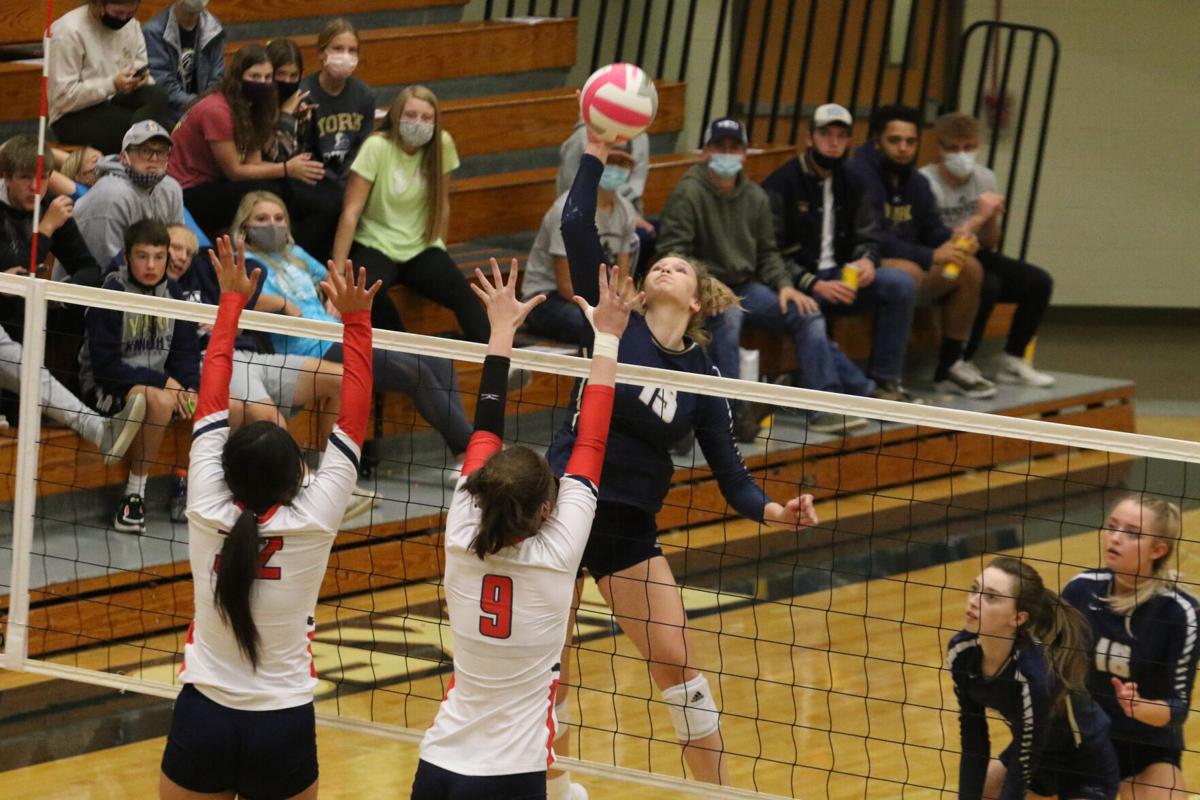 Masa Scheierman, York Volleyball