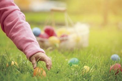 Egg Hunt