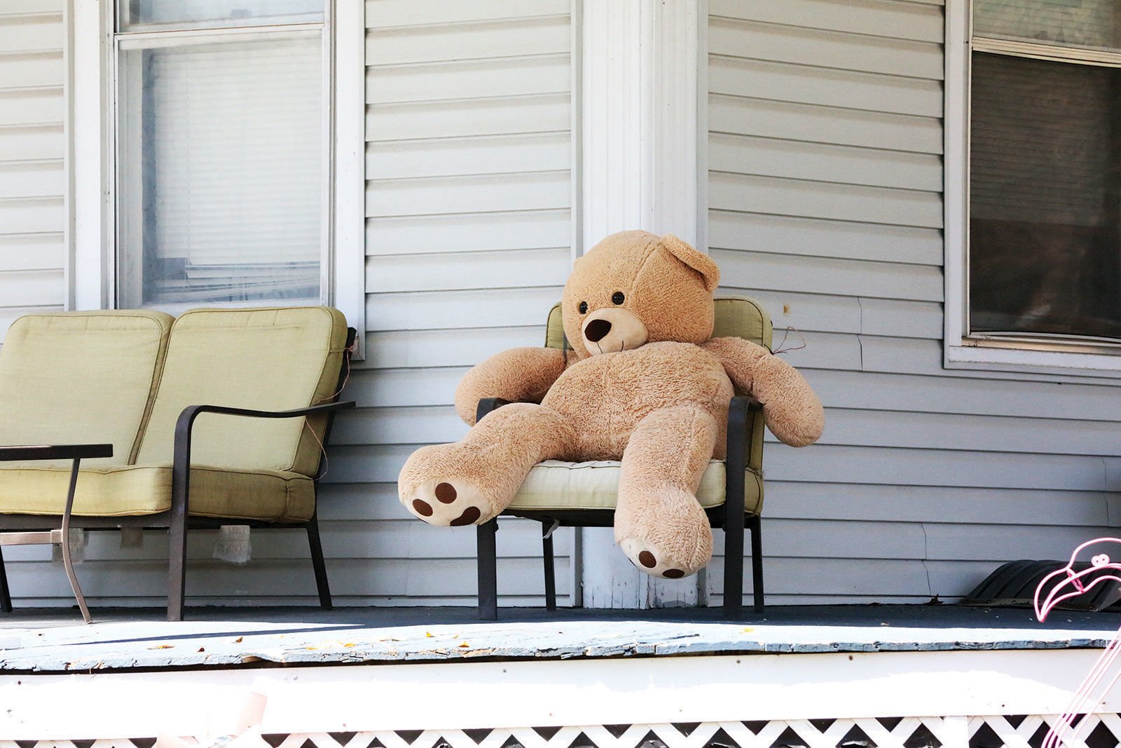 find a teddy bear