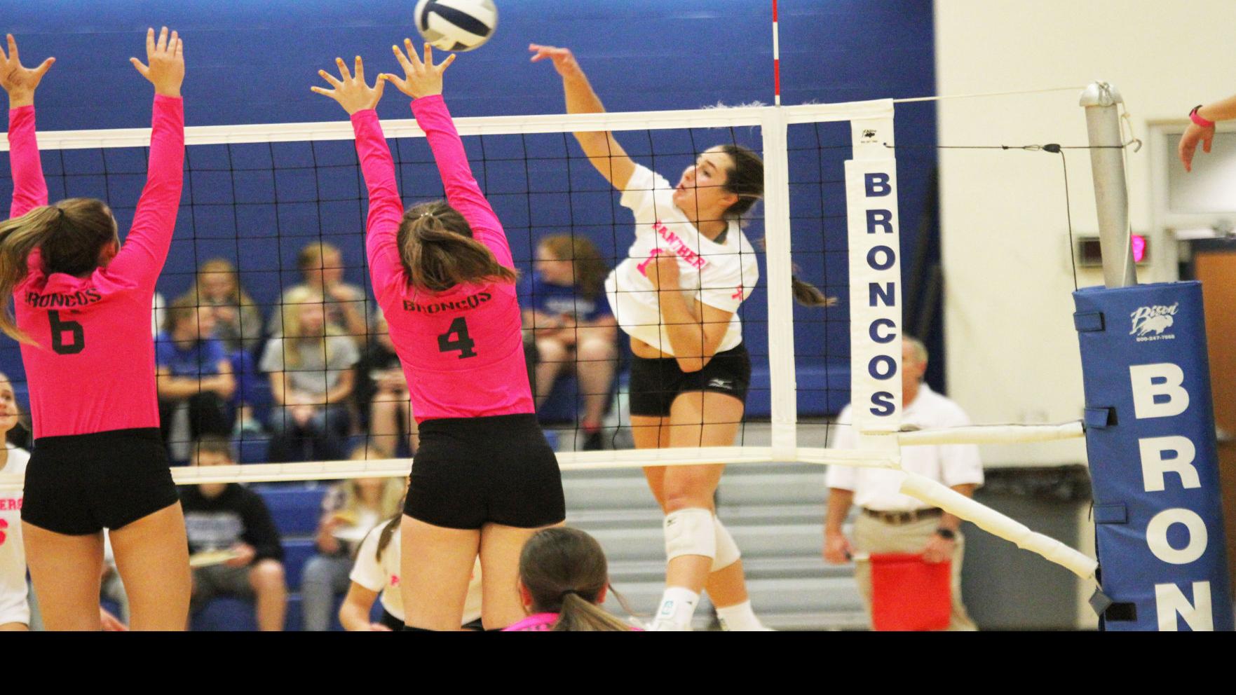 Seven Area Student Athletes Earn Striv All Star Honors Sports