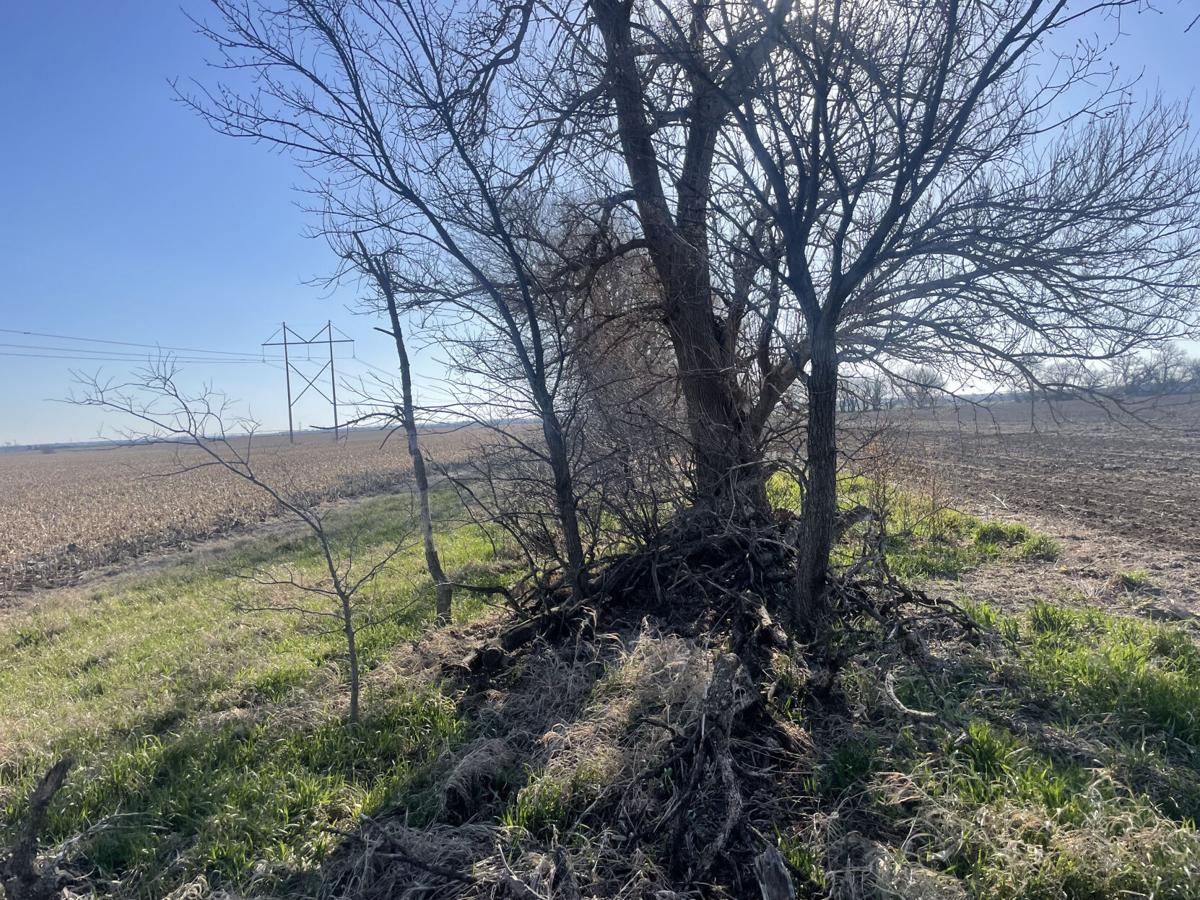 Monday's public hearing on York County's solar regulations raises the