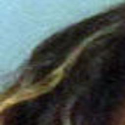 Convicted Killer Erica Jenkins Charged With New Felonies Latest News Yorknewstimes Com