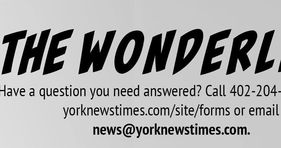 Wonderline: Readers ask about ARPA funds - Vimarsana News