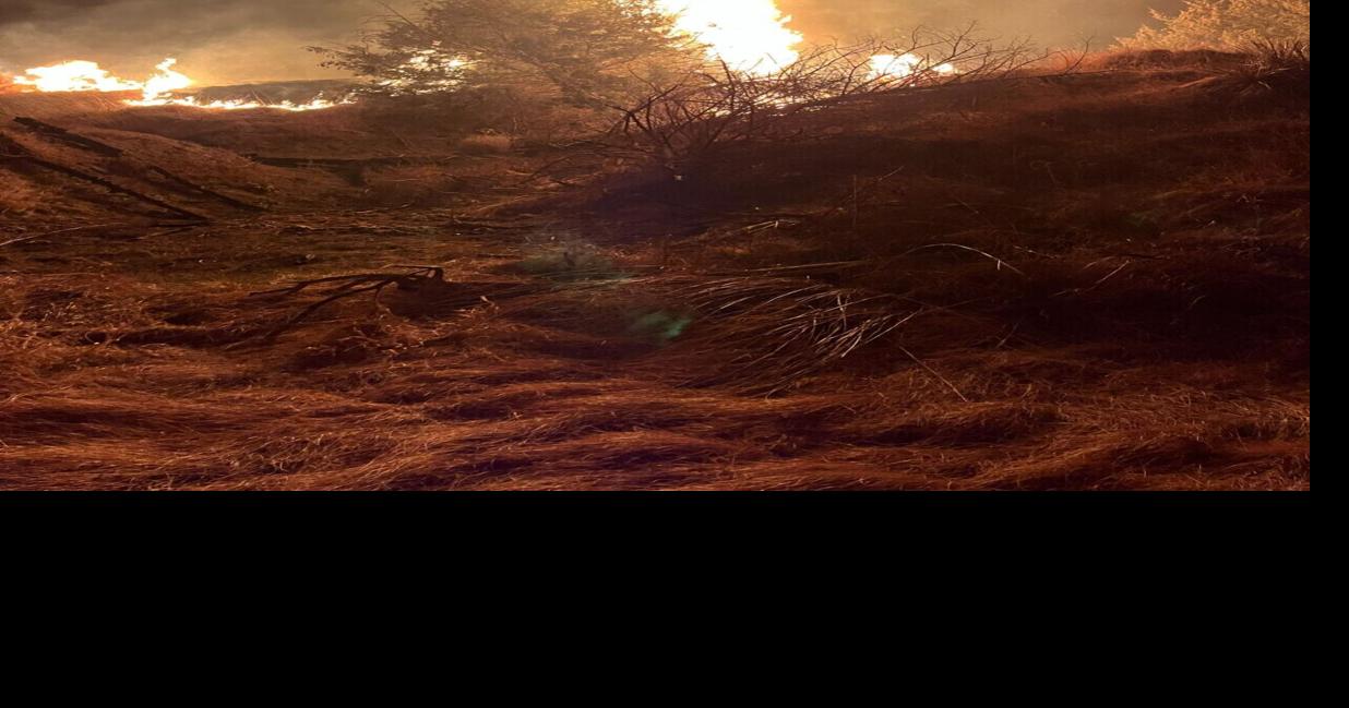 Prescribed burn tactics reversed to fight Cottonwood wildfire By Steve Moseley Rainwater Basin Joint Venture Apr 26, 2026 2 sec ago