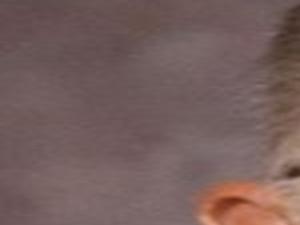 Death Kenneth Raymond Volzke Obituaries Yorknewstimes Com