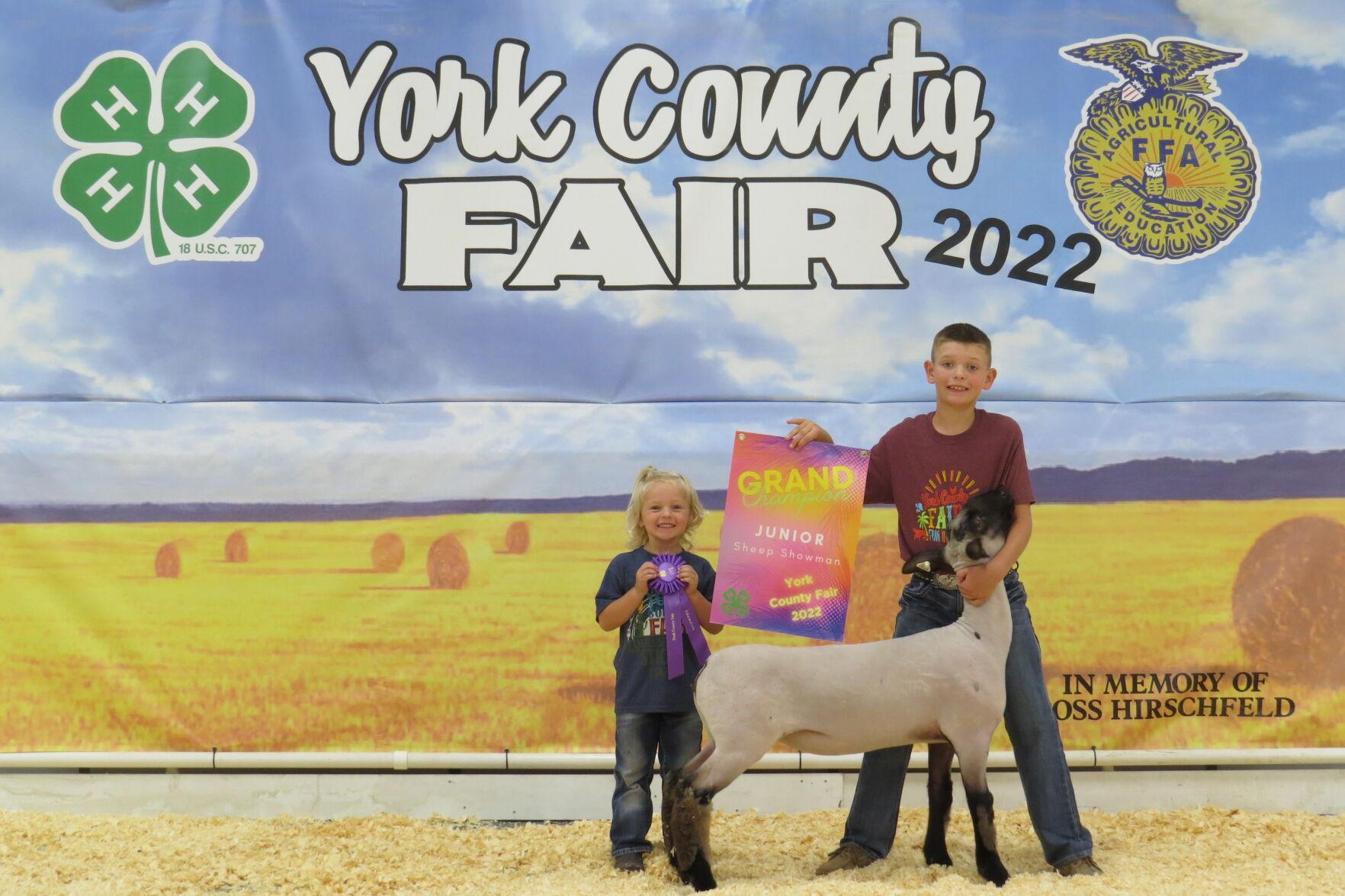 2022 York County Fair Sheep Show