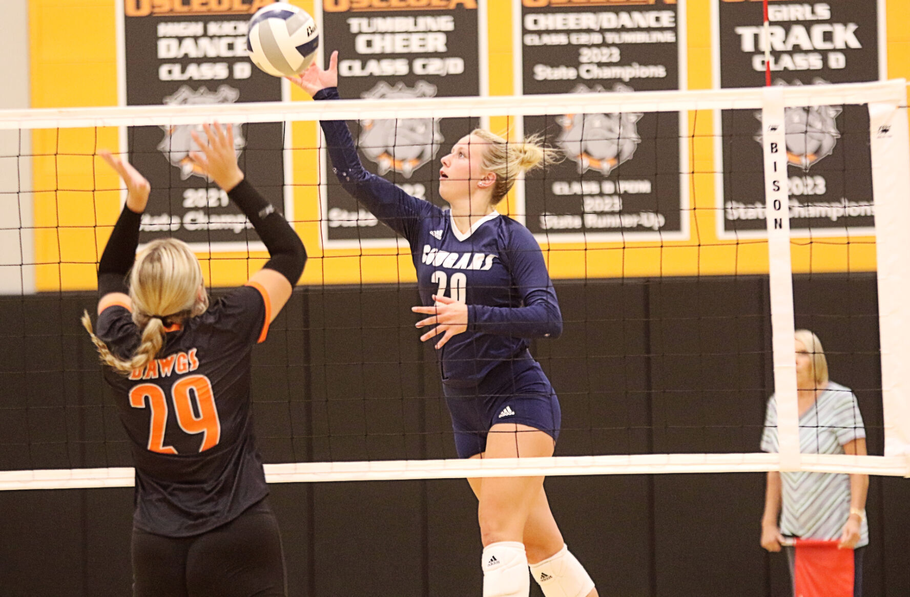Nine area players earn CRC volleyball honors