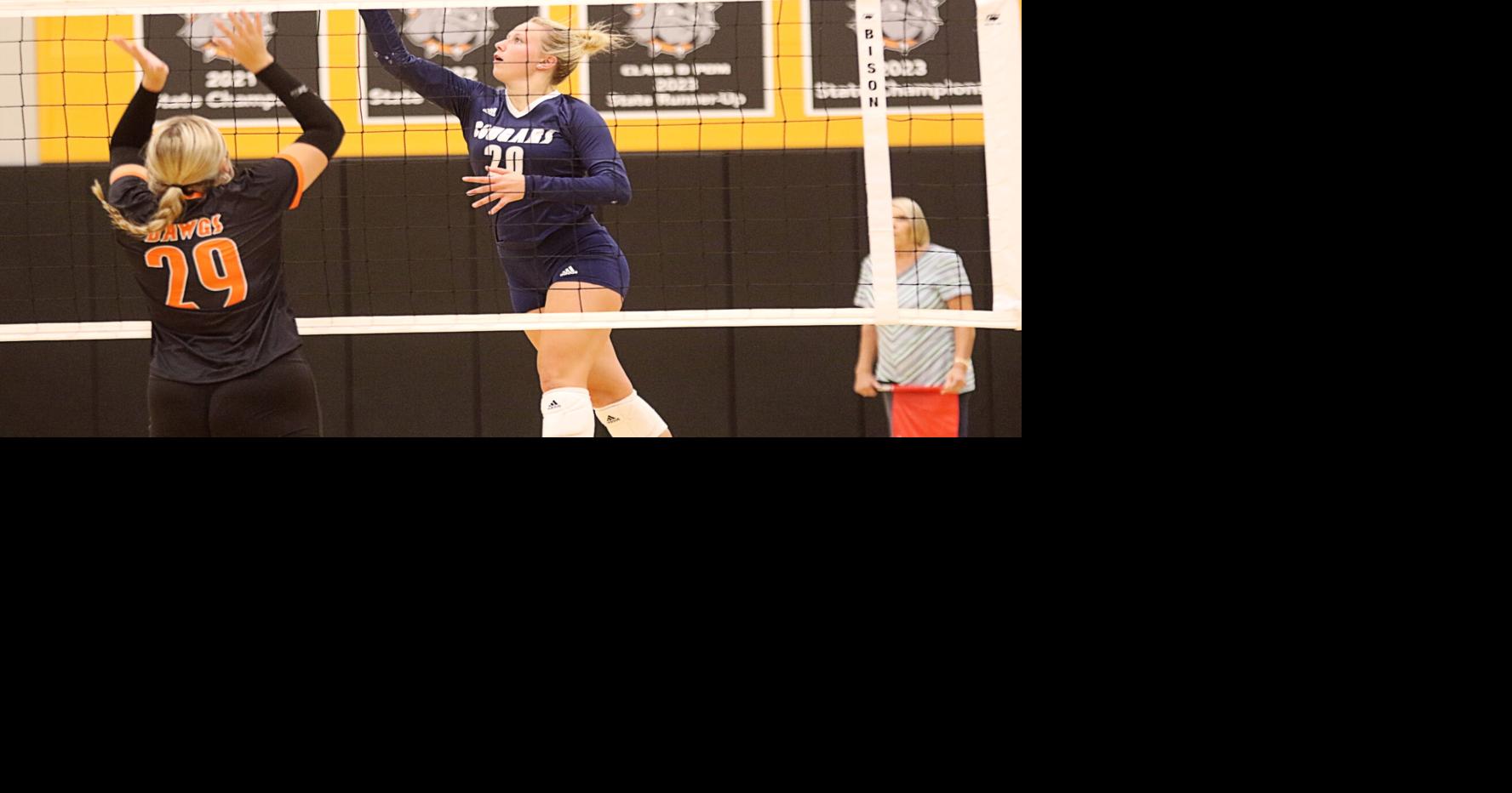 Nine area players earn CRC volleyball honors