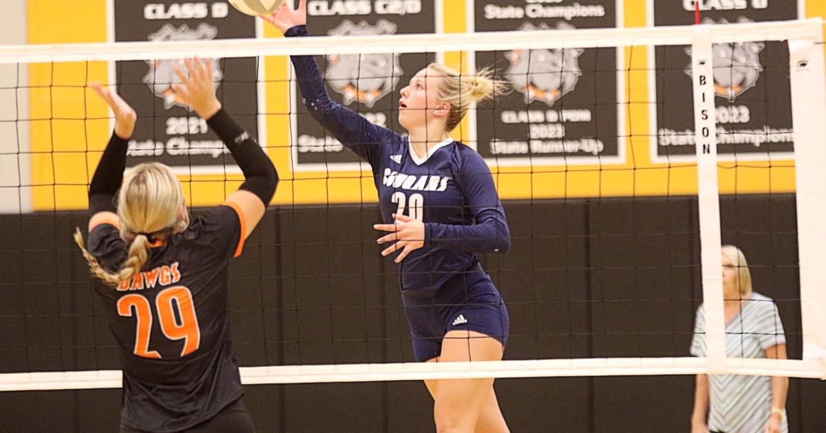 Volleyball Rticle Nine area players earn CRC volleyball honors