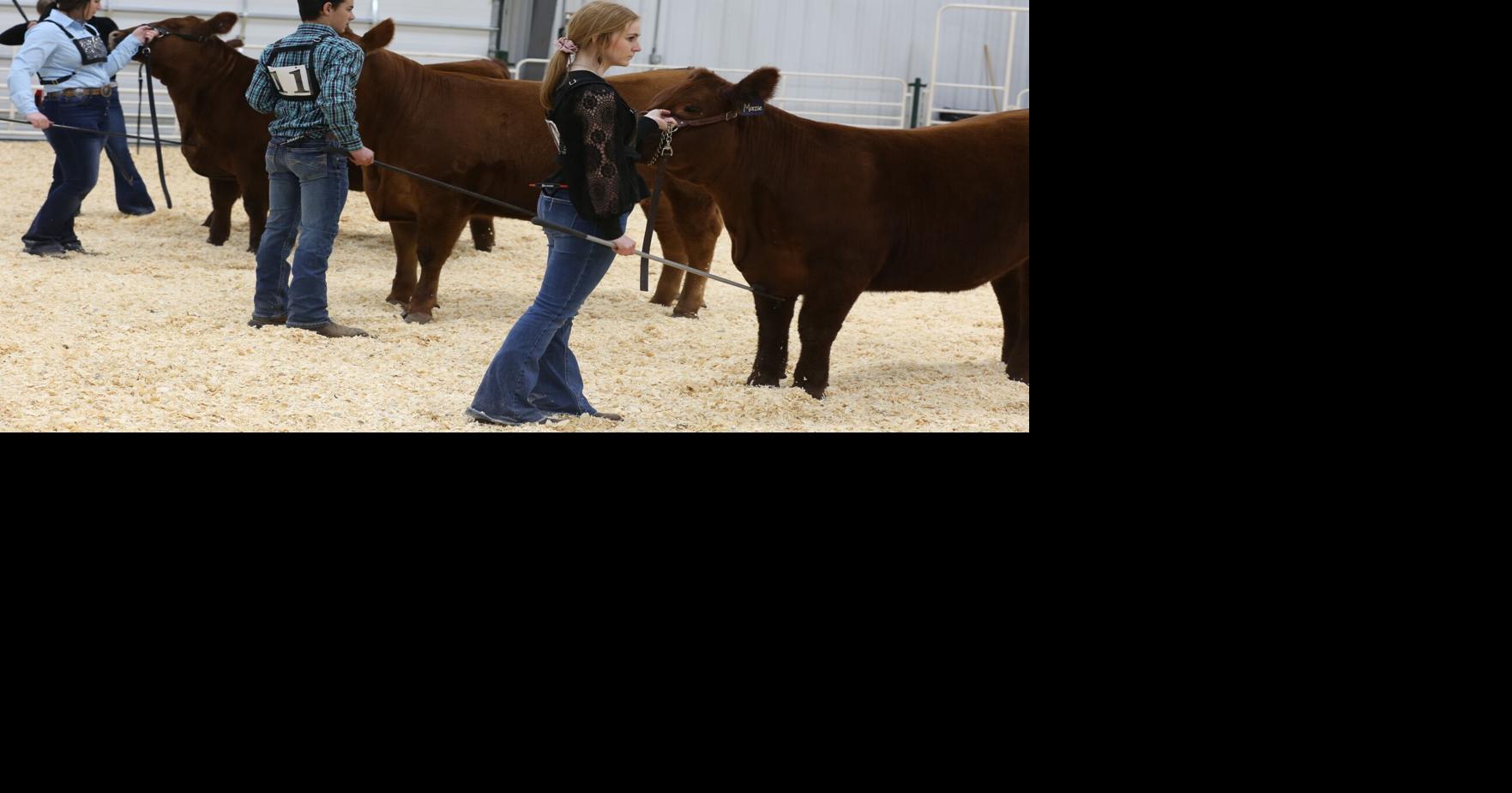 Beef Progress show set for March 30 in York