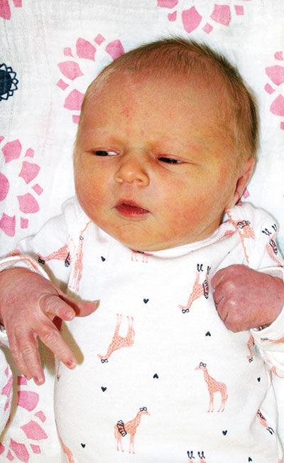 Kortlyn Rae Morris