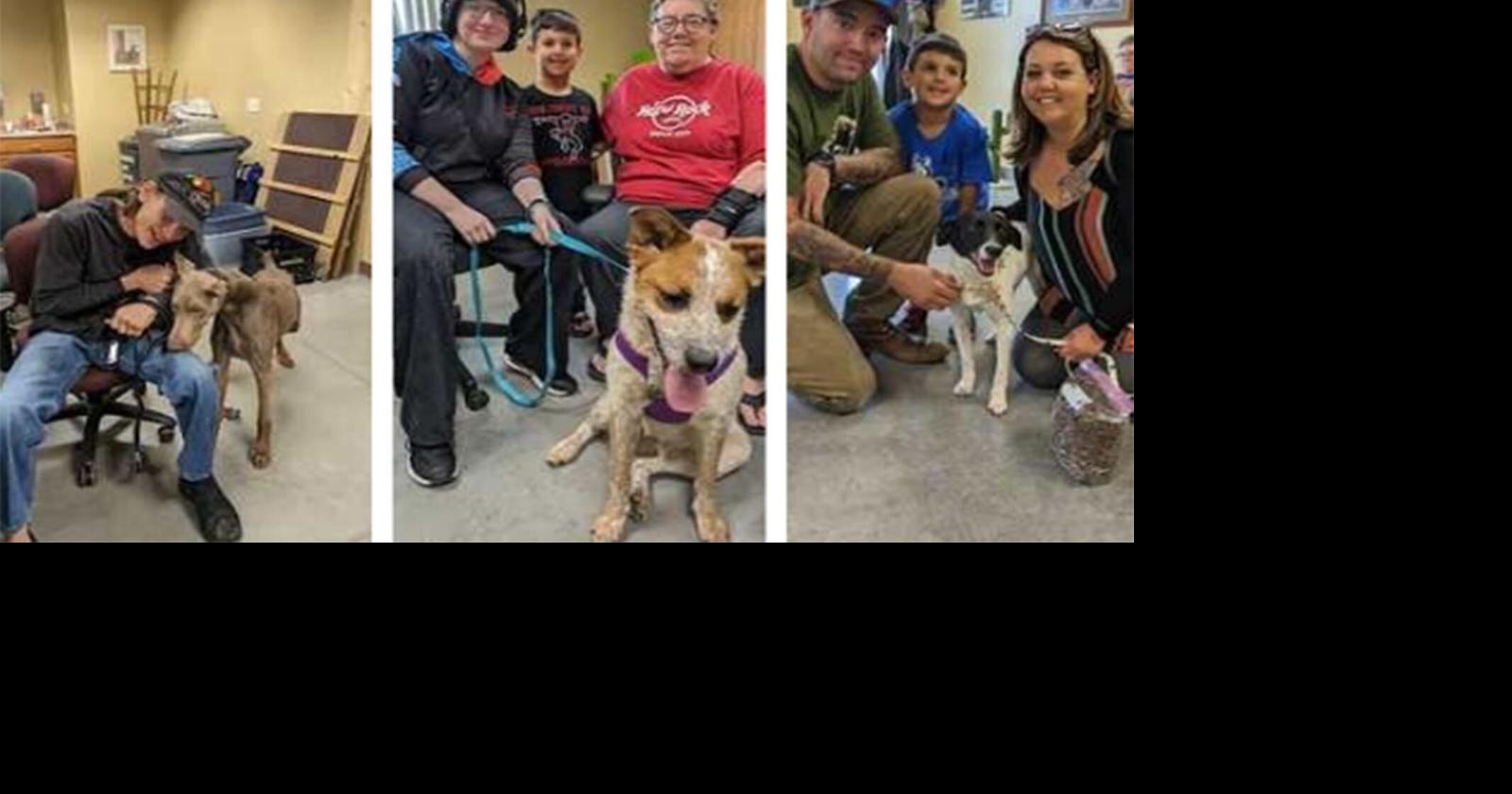 A Paws for Pets: Simply no words …