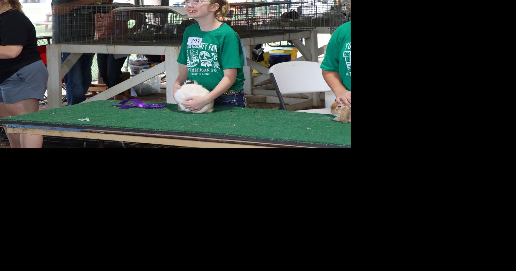 Beef and rabbits get their day at York County Fair