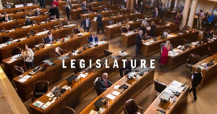 Nebraska senator proposes additional nitrate monitoring at livestock facilities - Vimarsana News