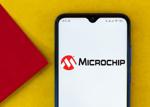 #38. Microchip Technology