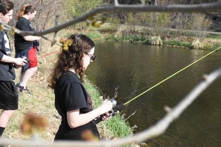 York High School science students try trout parenting