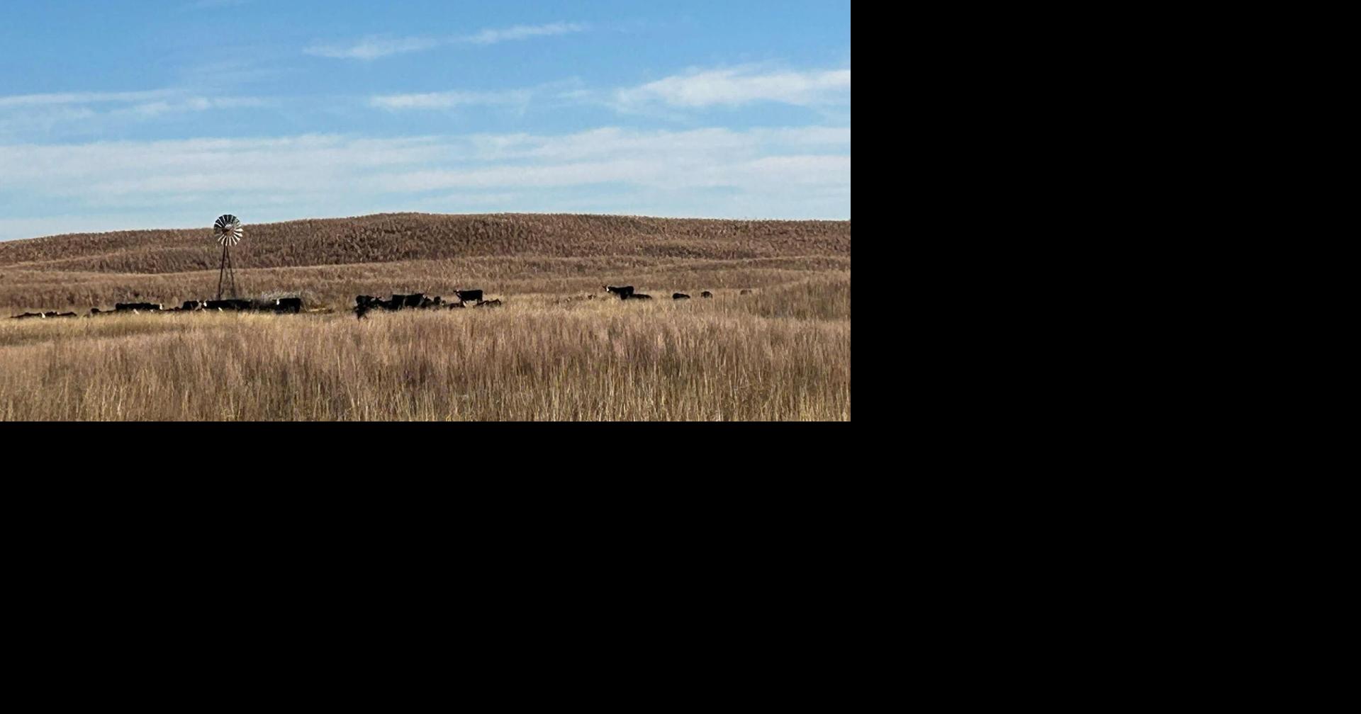 Kerry Hoffschneider: Soul of Sandhills survives fires