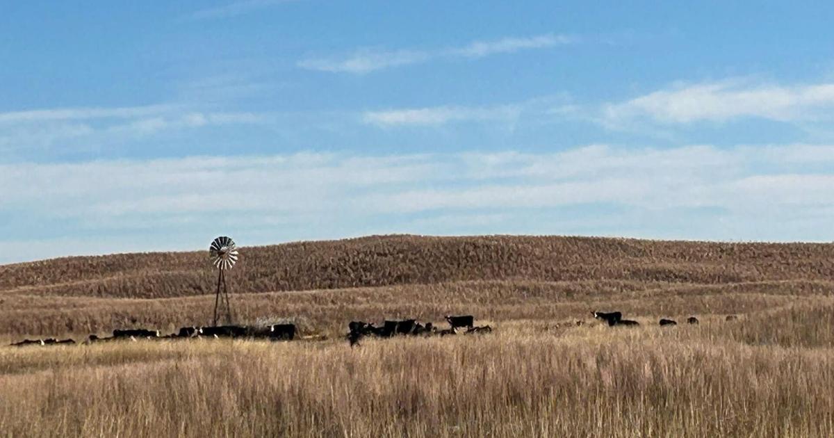Kerry Hoffschneider: Soul of Sandhills survives fires