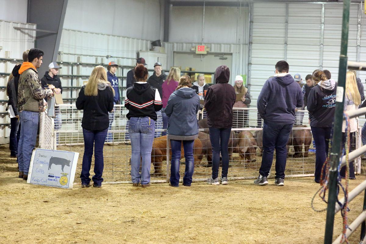 FFA District 5 livestock judging contest in York Local News