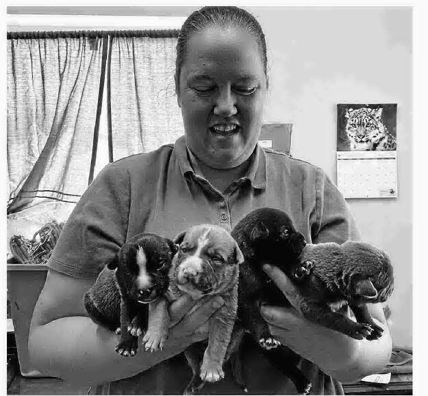 Beatrice Humane Society takes in puppies abandoned in dumpster