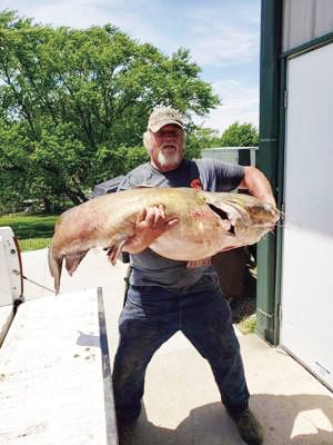 Swanton angler demolishes Nebraska state record with 89-pound flathead  catfish