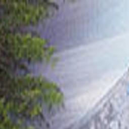 Container Gardening Bob Ross Painting Price Matching And More