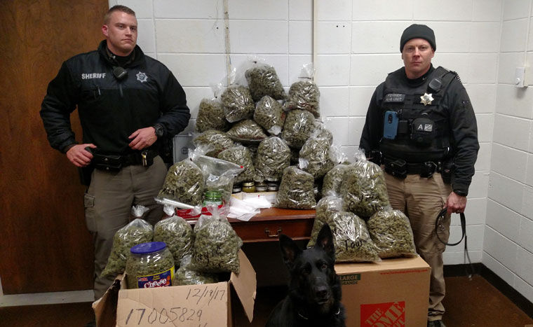 Marijuana Bust