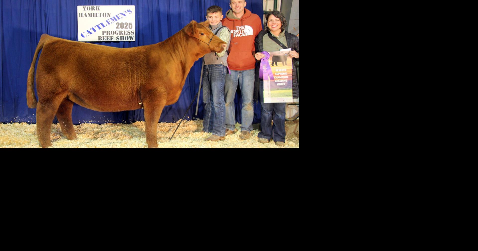 Results from York-Hamilton Cattlemen's Beef Progress Show