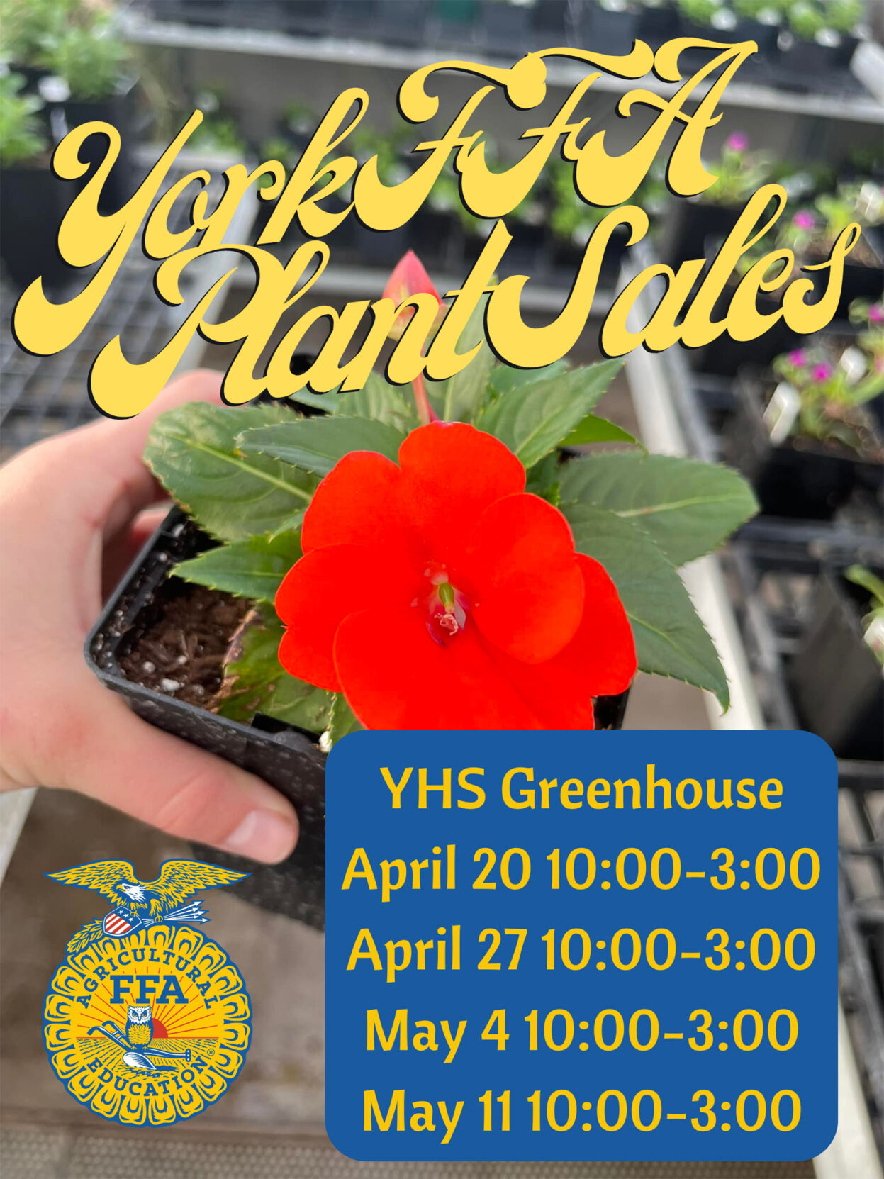 York FFA Plant Sale