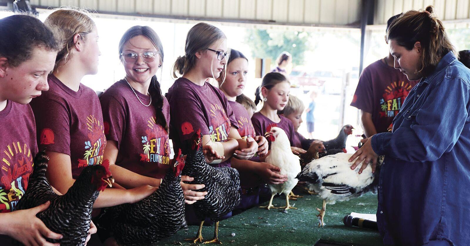 Sautter: 'All American Fun' at the York County Fair - Vimarsana News