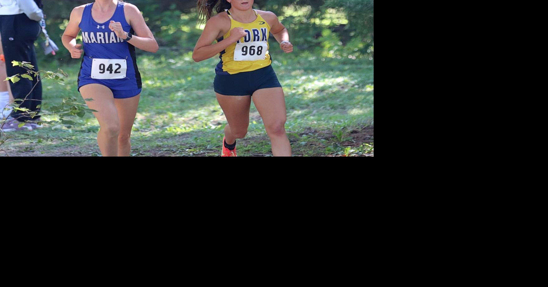 Area runners gear up for state cross country