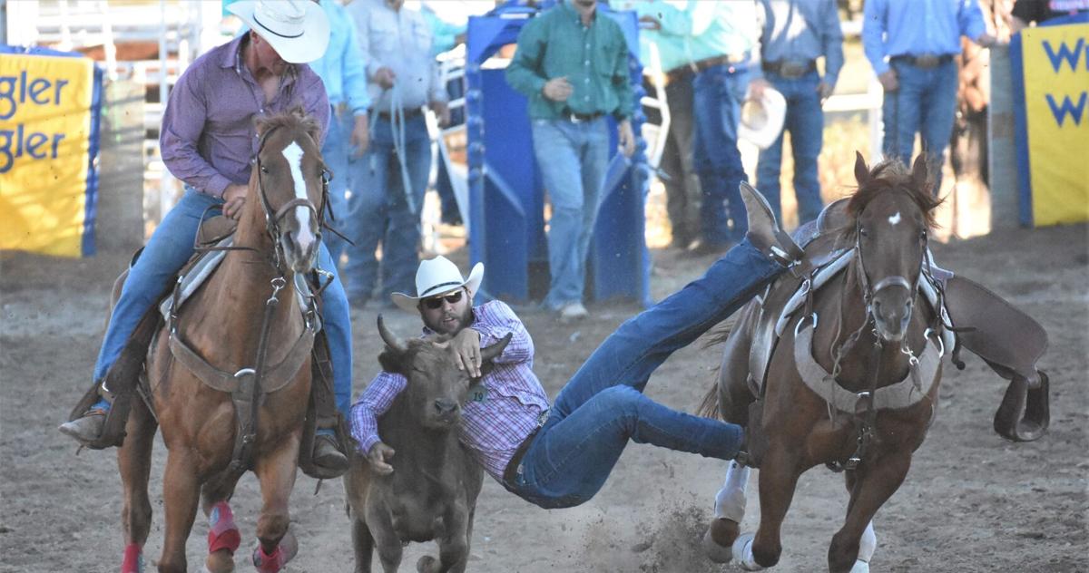 York Wi Rodeo In the lead -- York County cowboy headed to championship rodeo