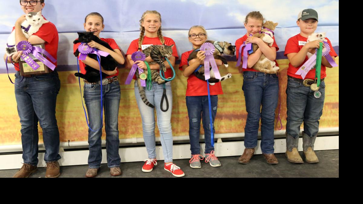 York County Fair 4H Winners News