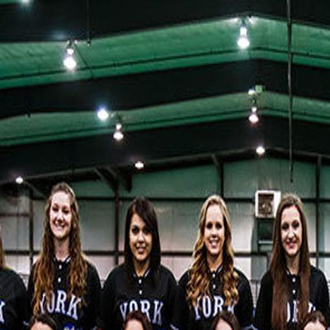 Panthers Softball Sets Goals For Diamond Sports Yorknewstimes Com