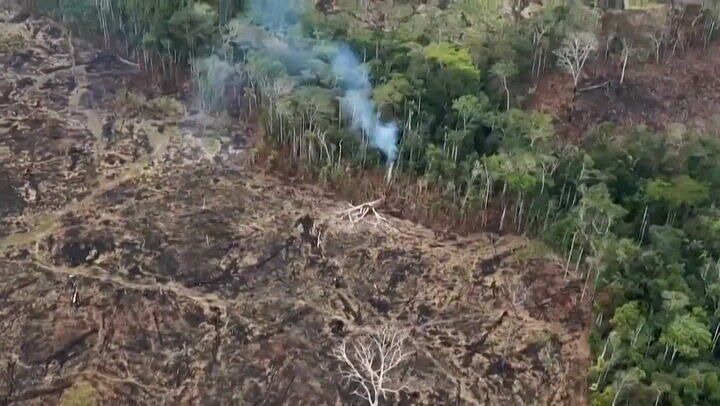 Deforestation Porn Full Video - Video shows aftermath of massive fires in the Amazon