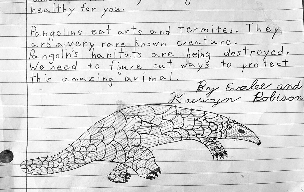 Youngsters write story on endangered species, to spread awareness