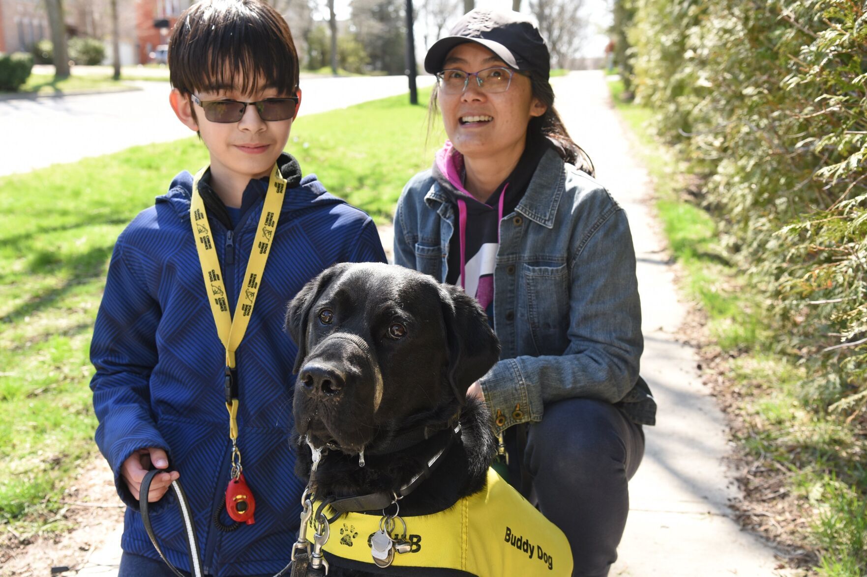 Guide dogs that fail 2024 training