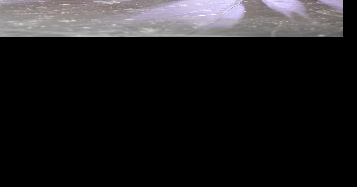 York Region Events 5 things to do this weekend (Dec. 2 to 3)