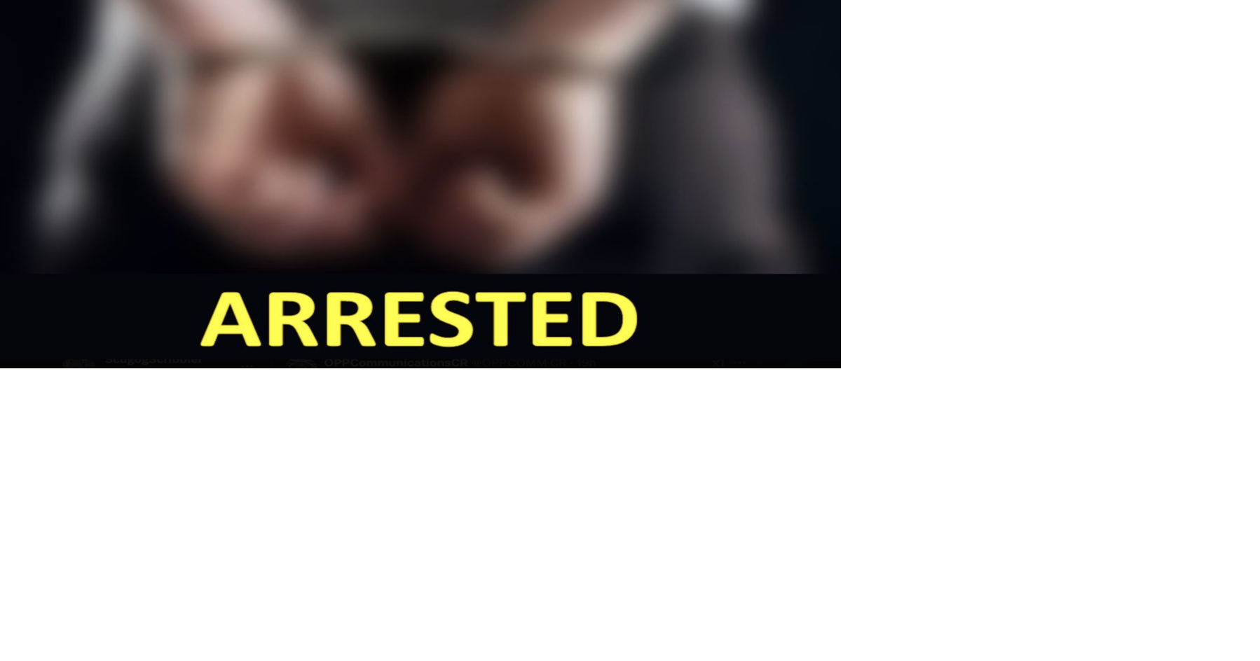Richmond Hill man faces manslaughter charge after fight